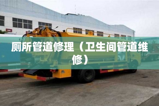 廁所管道修理(衛(wèi)生間管道維修) 廁所管道修理(衛(wèi)生間管道維修)