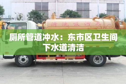 廁所管道沖水：東市區衛生間下水道清潔