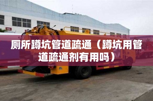 廁所蹲坑管道疏通（蹲坑用管道疏通劑有用嗎）