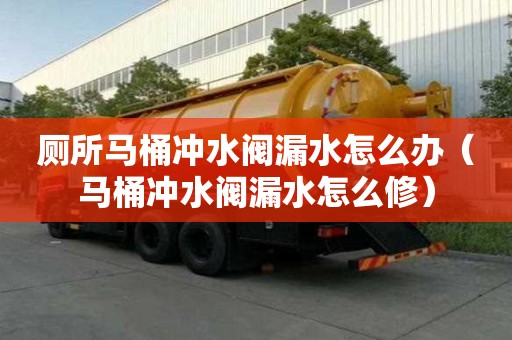 廁所馬桶沖水閥漏水怎么辦（馬桶沖水閥漏水怎么修）