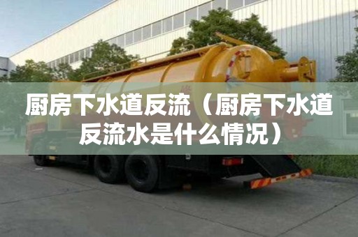廚房下水道反流（廚房下水道反流水是什么情況）