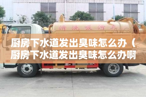 廚房下水道發(fā)出臭味怎么辦（廚房下水道發(fā)出臭味怎么辦啊）