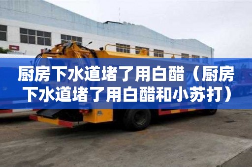 廚房下水道堵了用白醋（廚房下水道堵了用白醋和小蘇打）