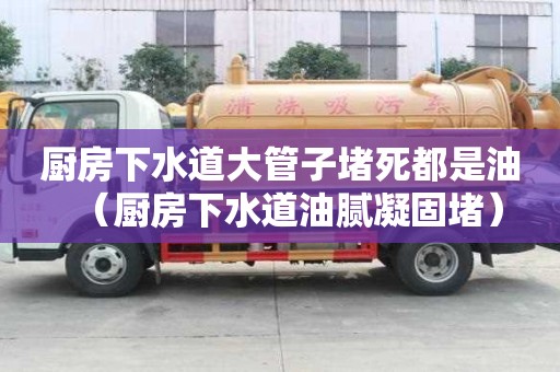 廚房下水道大管子堵死都是油（廚房下水道油膩凝固堵）