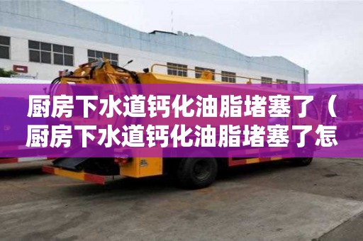 廚房下水道鈣化油脂堵塞了（廚房下水道鈣化油脂堵塞了怎么辦）