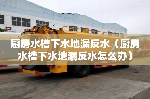 廚房水槽下水地漏反水（廚房水槽下水地漏反水怎么辦）