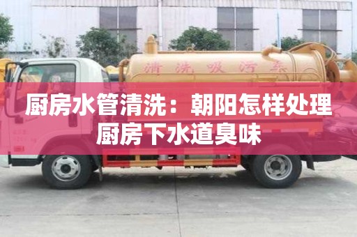 廚房水管清洗：朝陽怎樣處理廚房下水道臭味