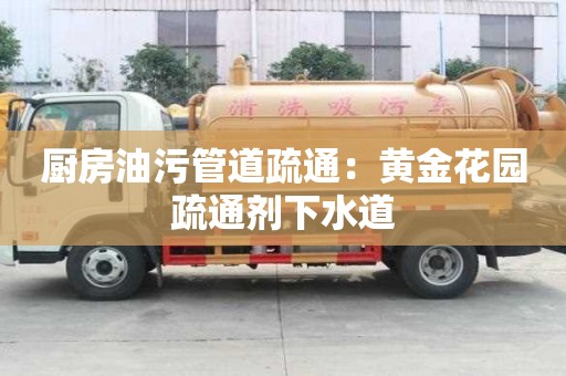 廚房油污管道疏通：黃金花園疏通劑下水道