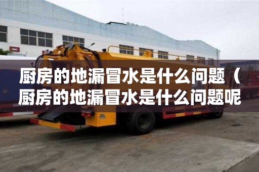 廚房的地漏冒水是什么問題（廚房的地漏冒水是什么問題呢）