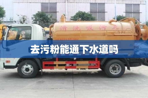 去污粉能通下水道嗎