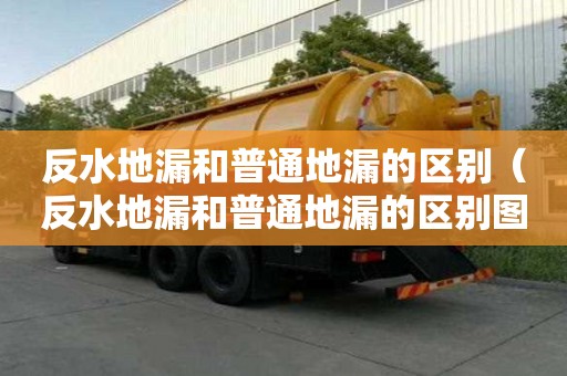 反水地漏和普通地漏的區別（反水地漏和普通地漏的區別圖片）