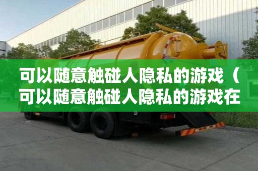可以隨意觸碰人隱私的游戲（可以隨意觸碰人隱私的游戲在線全集觀看）