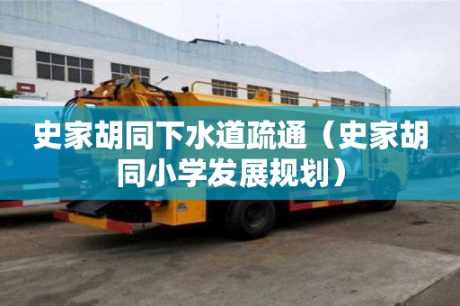 史家胡同下水道疏通（史家胡同小學(xué)發(fā)展規(guī)劃）