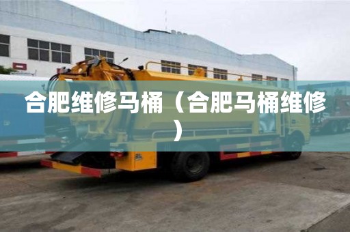 合肥維修馬桶（合肥馬桶維修）