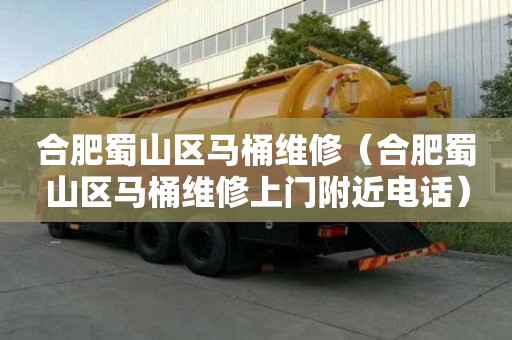合肥蜀山區(qū)馬桶維修（合肥蜀山區(qū)馬桶維修上門附近電話）
