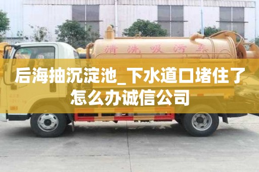 后海抽沉淀池_下水道口堵住了怎么辦誠信公司