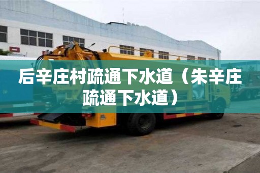 后辛莊村疏通下水道（朱辛莊疏通下水道）