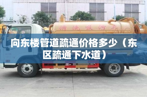 向東樓管道疏通價格多少（東區疏通下水道）