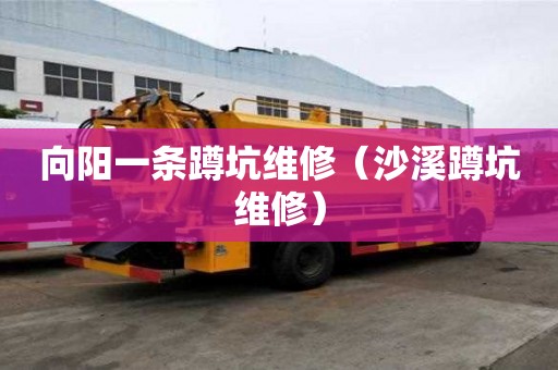 向陽一條蹲坑維修（沙溪蹲坑維修）