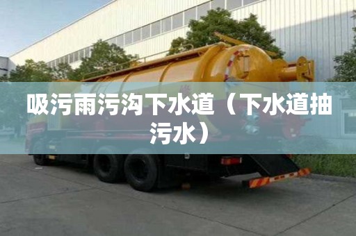 吸污雨污溝下水道(下水道抽污水) 吸污雨污溝下水道(下水道抽污水)