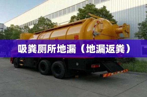 吸糞廁所地漏（地漏返糞）