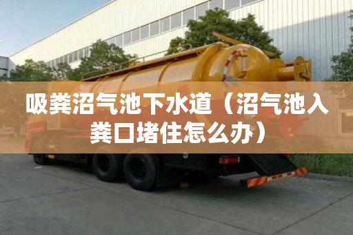 吸糞沼氣池下水道（沼氣池入糞口堵住怎么辦）