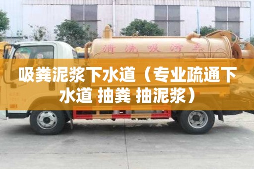 吸糞泥漿下水道（專(zhuān)業(yè)疏通下水道 抽糞 抽泥漿）