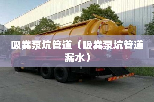 吸糞泵坑管道（吸糞泵坑管道漏水）
