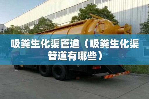 吸糞生化渠管道（吸糞生化渠管道有哪些）