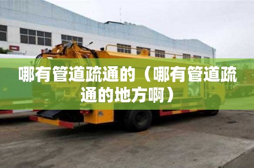 哪有管道疏通的(哪有管道疏通的地方啊) 哪有管道疏通的(哪有管道疏通的地方啊)