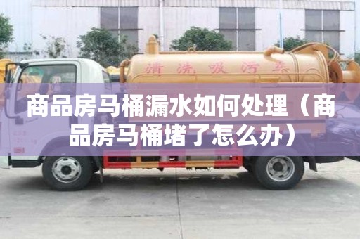 商品房馬桶漏水如何處理（商品房馬桶堵了怎么辦）