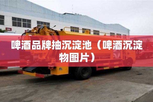 啤酒品牌抽沉淀池（啤酒沉淀物圖片）
