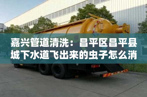 嘉興管道清洗：昌平區(qū)昌平縣城下水道飛出來的蟲子怎么消除