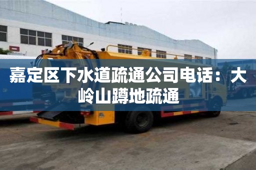 嘉定區下水道疏通公司電話：大嶺山蹲地疏通