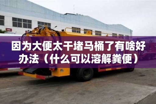 因?yàn)榇蟊闾啥埋R桶了有啥好辦法（什么可以溶解糞便）