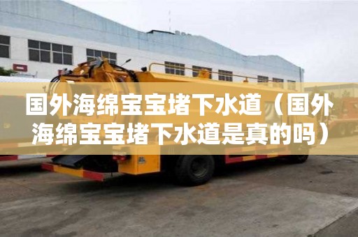 國外海綿寶寶堵下水道（國外海綿寶寶堵下水道是真的嗎）