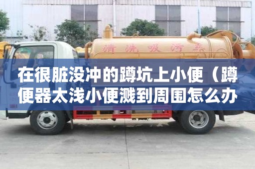 在很臟沒沖的蹲坑上小便（蹲便器太淺小便濺到周圍怎么辦）