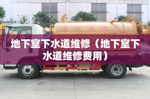 地下室下水道維修（地下室下水道維修費用）