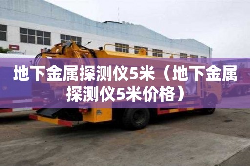 地下金屬探測(cè)儀5米（地下金屬探測(cè)儀5米價(jià)格）