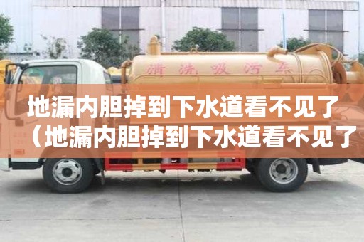 地漏內膽掉到下水道看不見了(地漏內膽掉到下水道看不見了能取出來嗎) 地漏內膽掉到下水道看不見了(地漏內膽掉到下水道看不見了能取出來嗎)