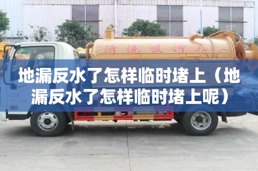 地漏反水了怎樣臨時(shí)堵上（地漏反水了怎樣臨時(shí)堵上呢）