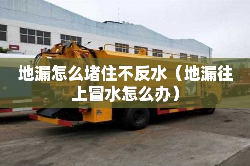 地漏怎么堵住不反水（地漏往上冒水怎么辦）