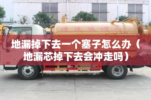 地漏掉下去一個塞子怎么辦(地漏芯掉下去會沖走嗎) 地漏掉下去一個塞子怎么辦(地漏芯掉下去會沖走嗎)