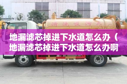 地漏濾芯掉進(jìn)下水道怎么辦（地漏濾芯掉進(jìn)下水道怎么辦啊）