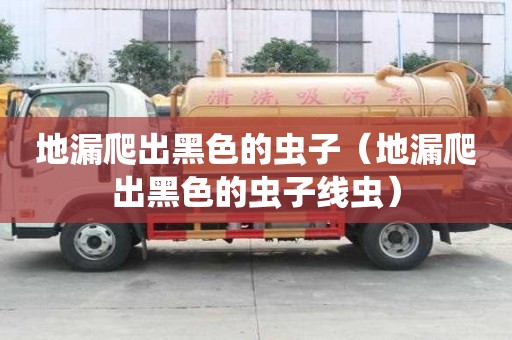 地漏爬出黑色的蟲子（地漏爬出黑色的蟲子線蟲）