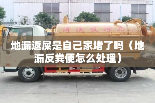 地漏返屎是自己家堵了嗎（地漏反糞便怎么處理）