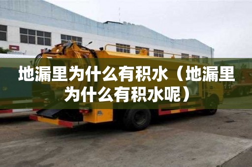 地漏里為什么有積水（地漏里為什么有積水呢）