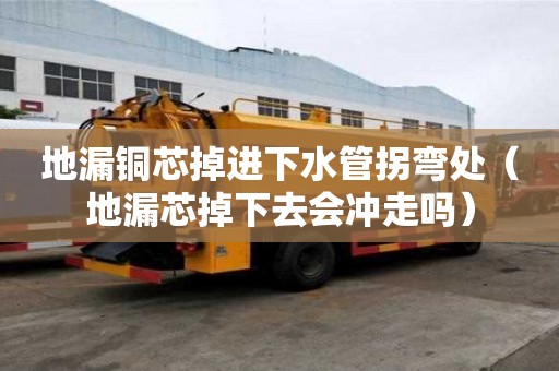 地漏銅芯掉進下水管拐彎處(地漏芯掉下去會沖走嗎) 地漏銅芯掉進下水管拐彎處(地漏芯掉下去會沖走嗎)