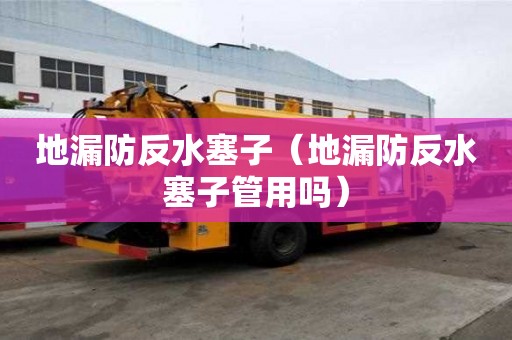 地漏防反水塞子（地漏防反水塞子管用嗎）