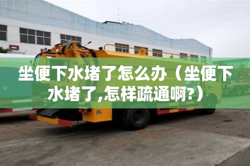 坐便下水堵了怎么辦(坐便下水堵了,怎樣疏通啊?) 坐便下水堵了怎么辦(坐便下水堵了,怎樣疏通啊?)